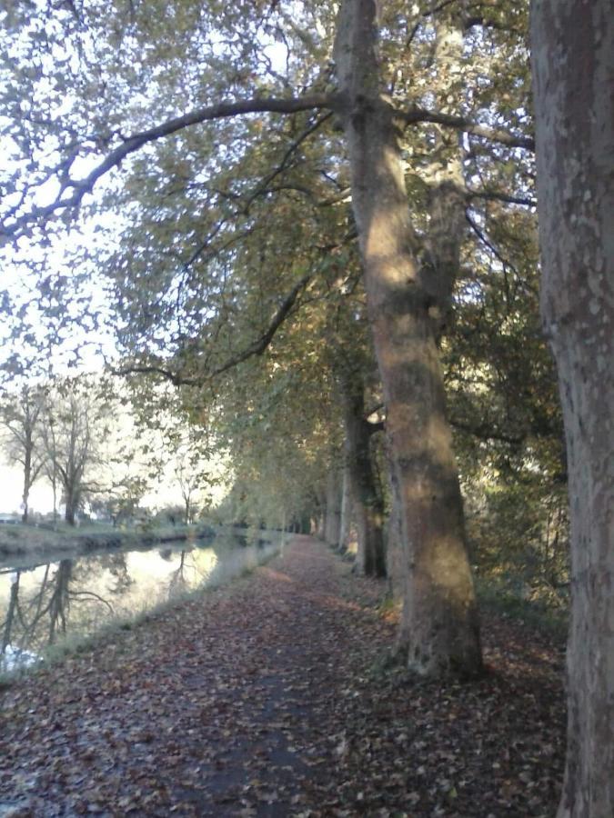 Gite 3 Etoiles "Entre Sources Et Riviere" Besancon Vaire-le-Grand Exterior photo